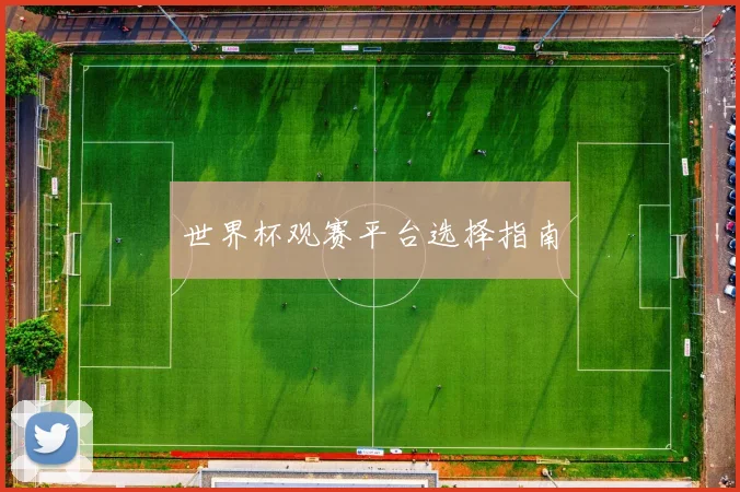 世界杯观赛平台选择指南