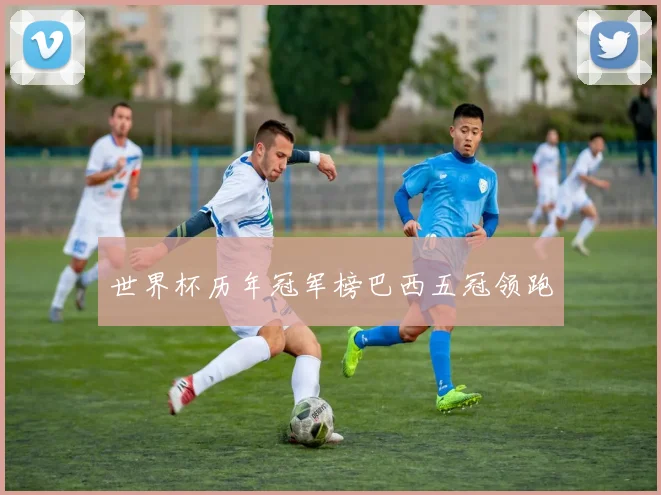 世界杯历年冠军榜巴西五冠领跑